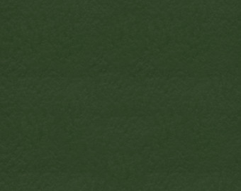 [100111115_16] Marmoleum Walton - 3359 bottle green